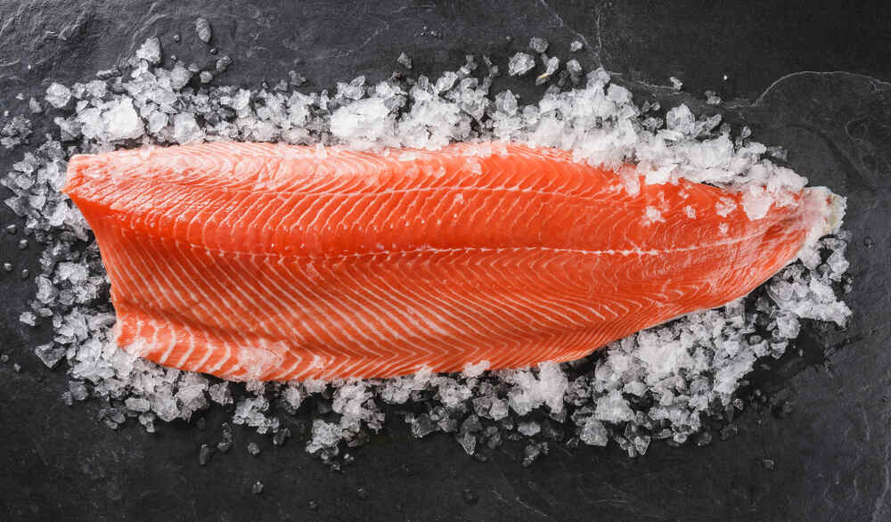 Raw salmon fillet on ice
