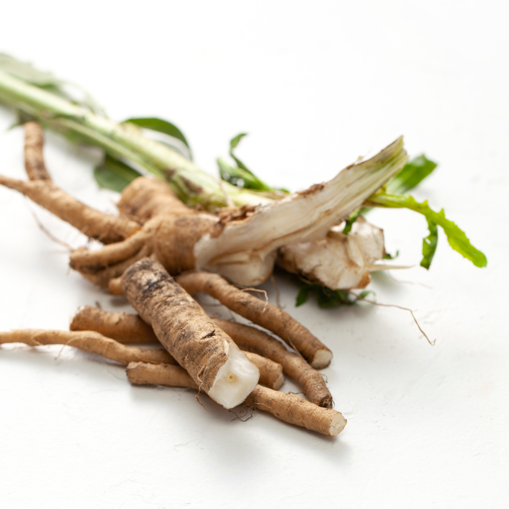 Chicory Root