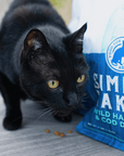 black cat with a bag of Simply Naked wild cod and haddock kibble next to it