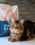cat with simply naked redfish seafood dinner