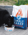 black cat with a bag of Simply Naked wild salmon cat food
