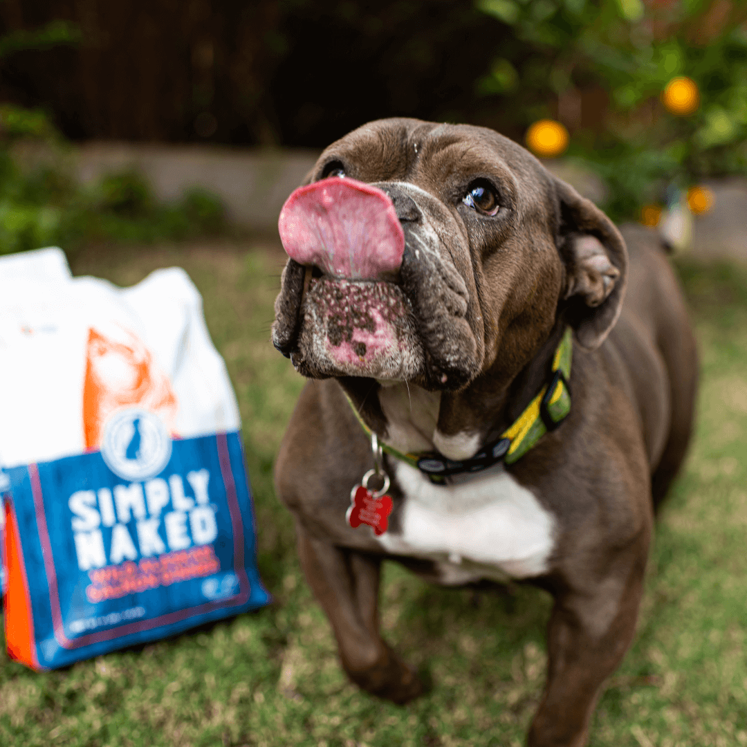dog licking their lips with a bag of simply naked wild salmon dog food in the background