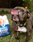 dog licking their lips with a bag of simply naked wild salmon dog food in the background
