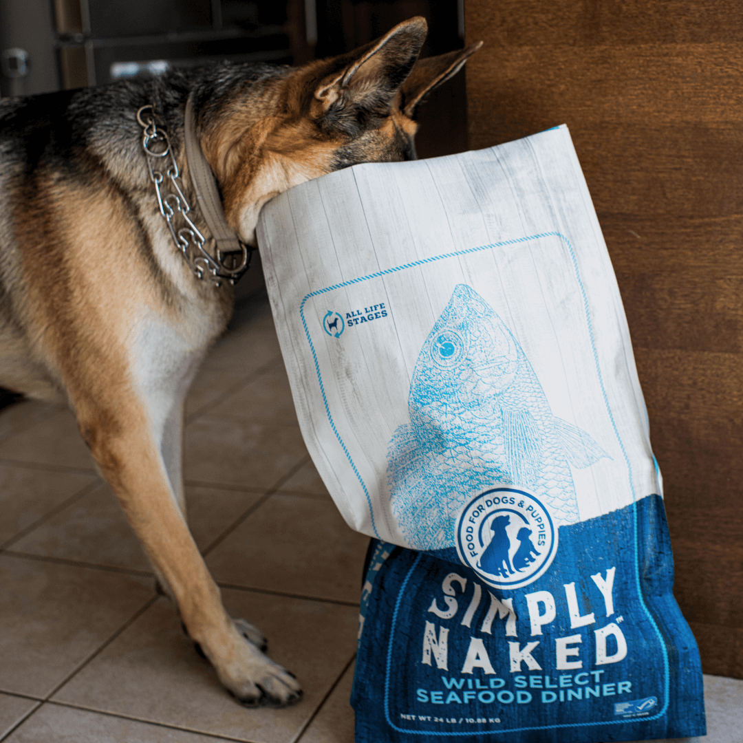 dog with their head in a bag of Simply Naked dry dog food