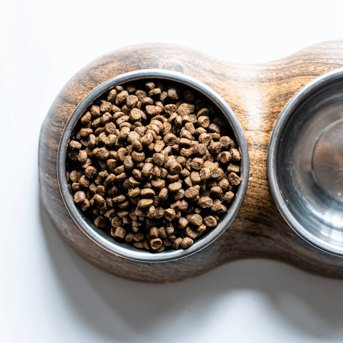 Pet food free deals shipping