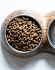 Cat Food Sample Box with FREE SHIPPING