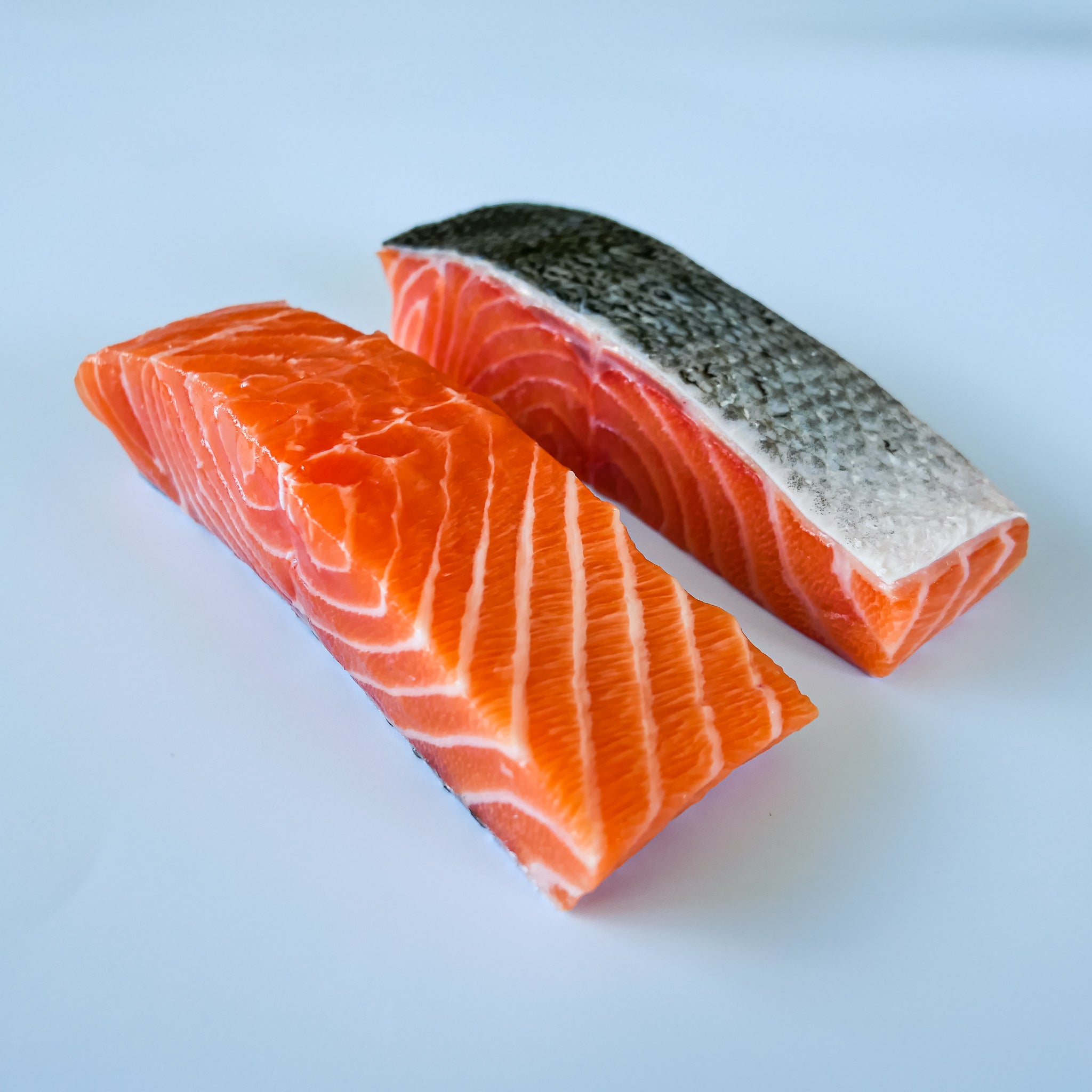 Salmon