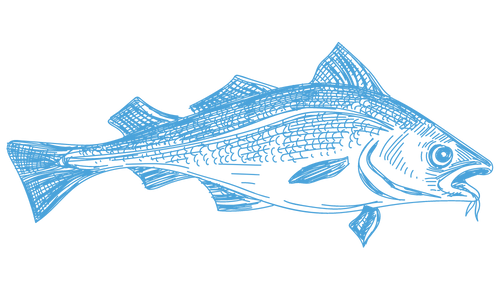 Cod