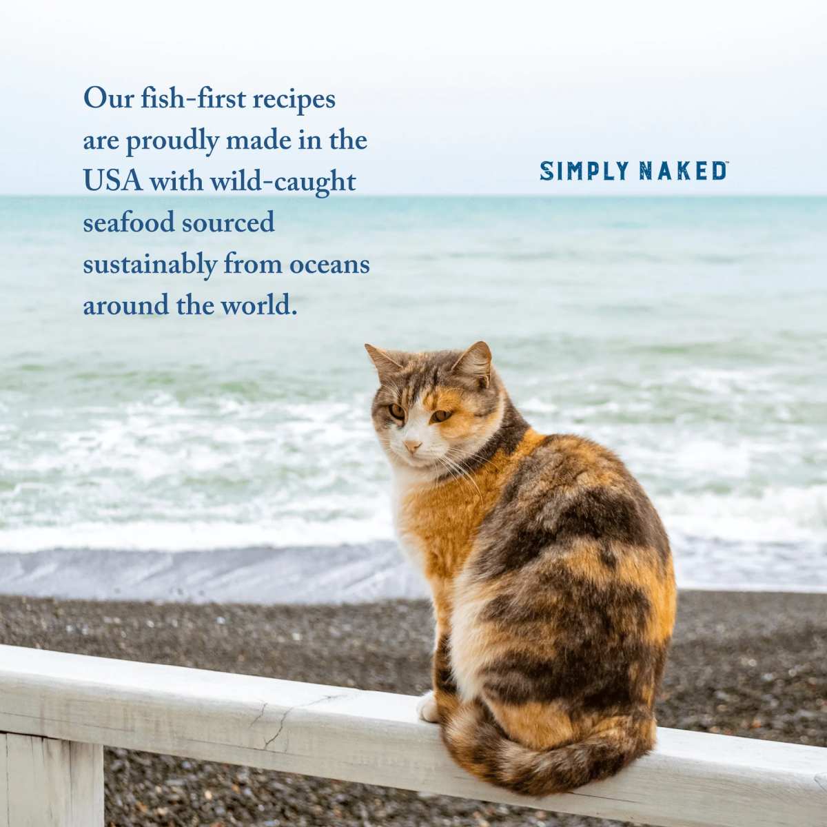Our recipes are made in the USA with sustainably sourced seafood