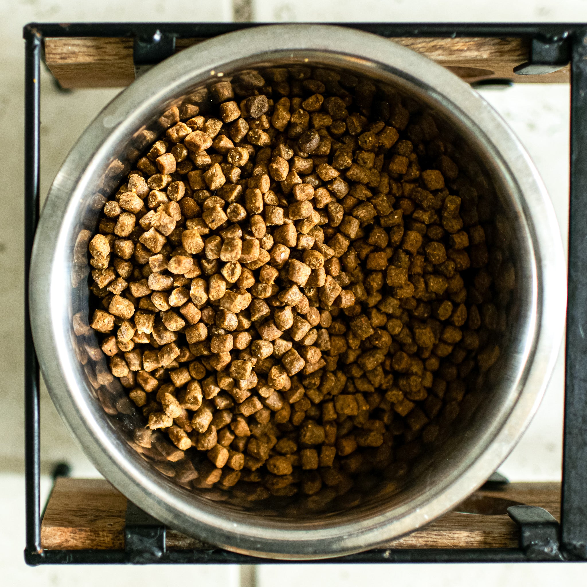 dry cat kibble in a silver bowl