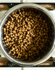 dry dog kibble in a silver bowl