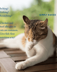 Fish-first nutrition can benefit pets with chicken and beef allergies