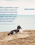 Wild Haddock & Cod Dinner for Cats - Simply Naked Fish Based Dog Food & Cat Food