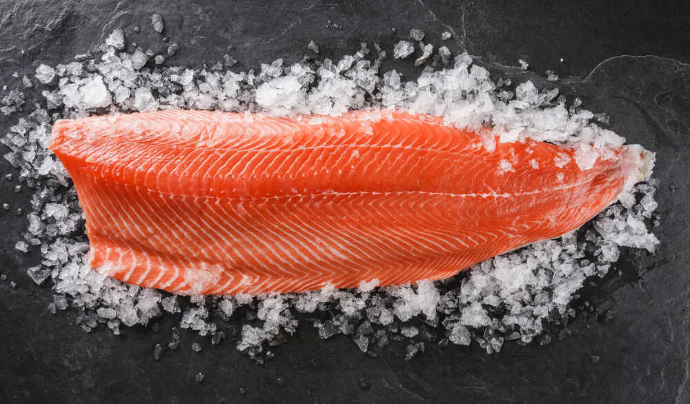Raw salmon fillet on ice 