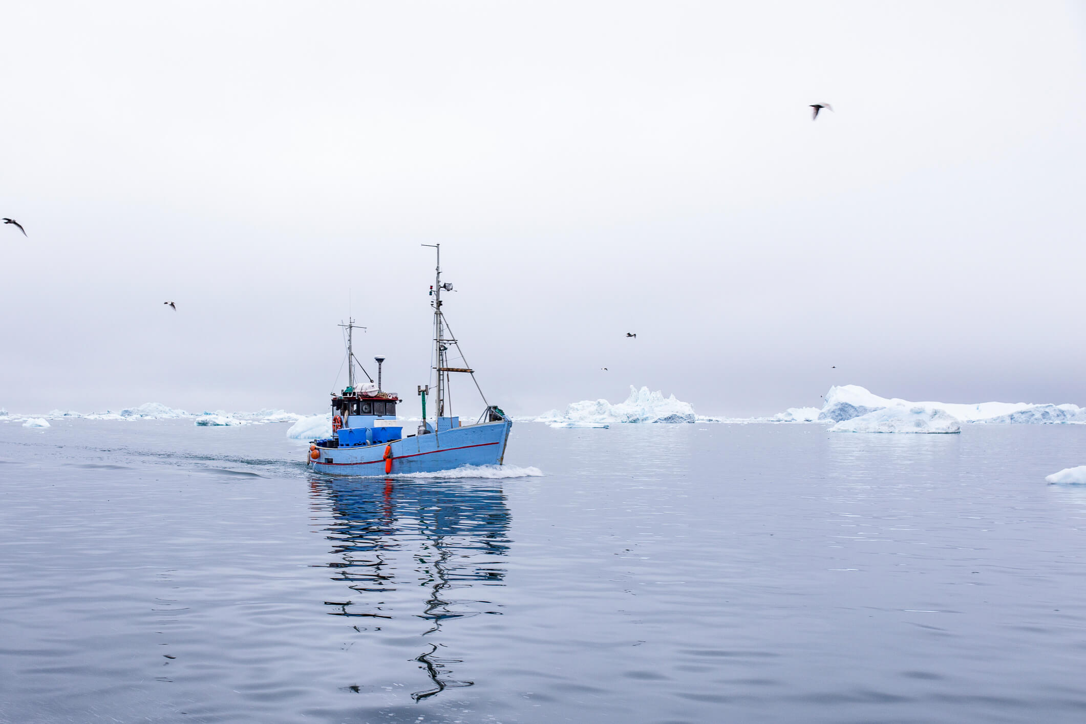 fishing boat out at sea with icebergs in the background