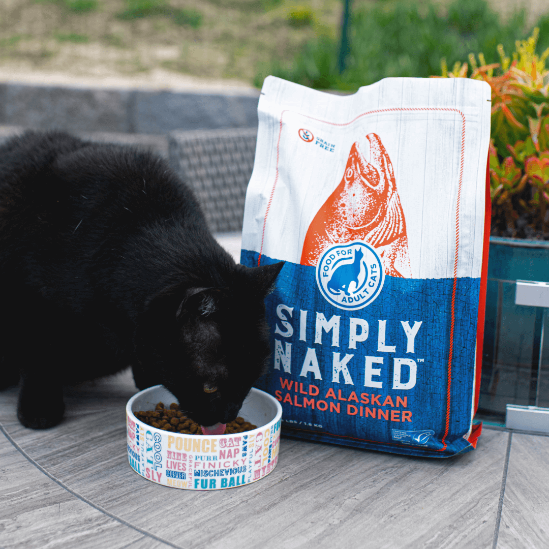 black cat with a bag of Simply Naked wild salmon cat food