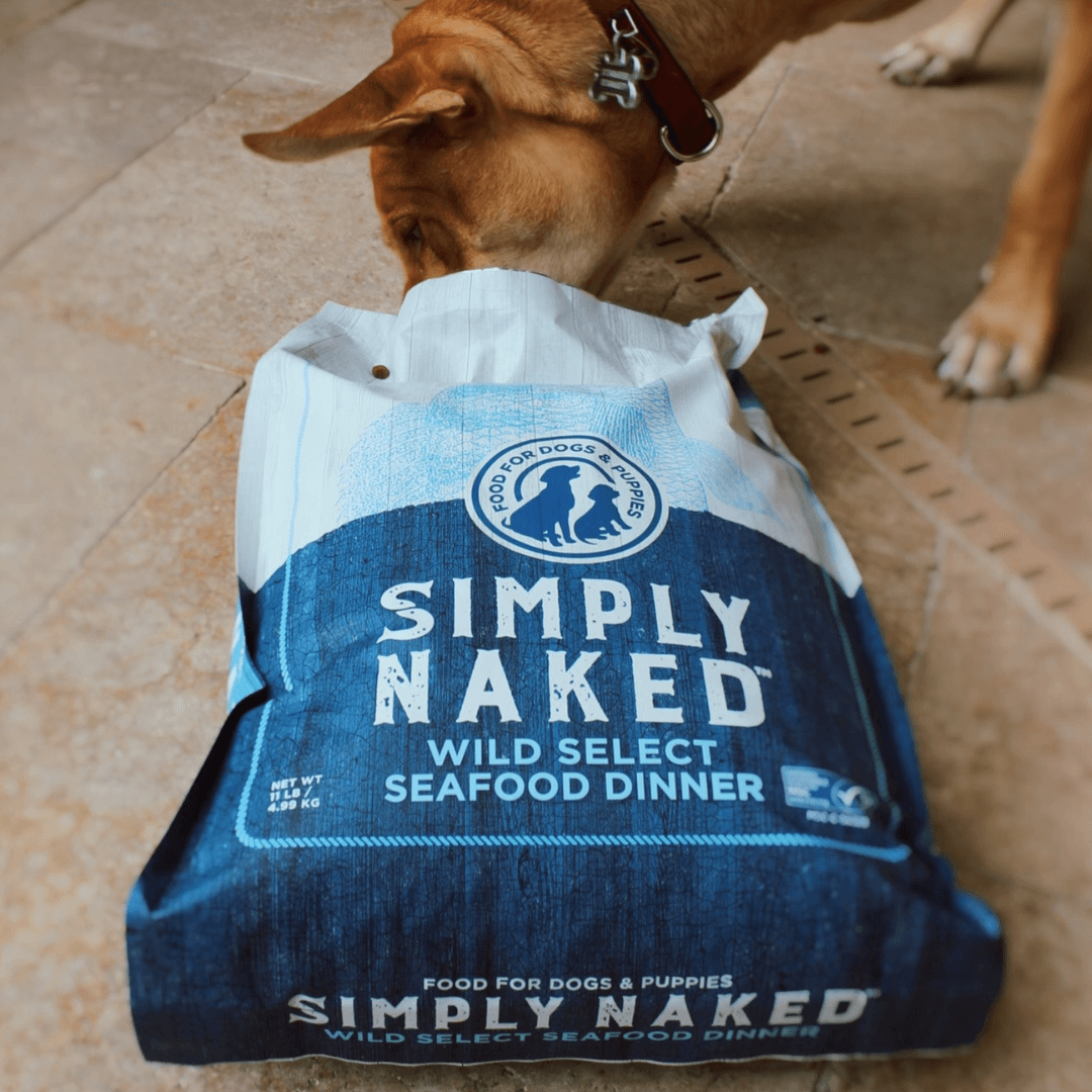 dog sniffing at an open bag of Simply Naked seafood dog food