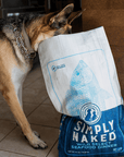 dog with their head in a bag of Simply Naked dry dog food