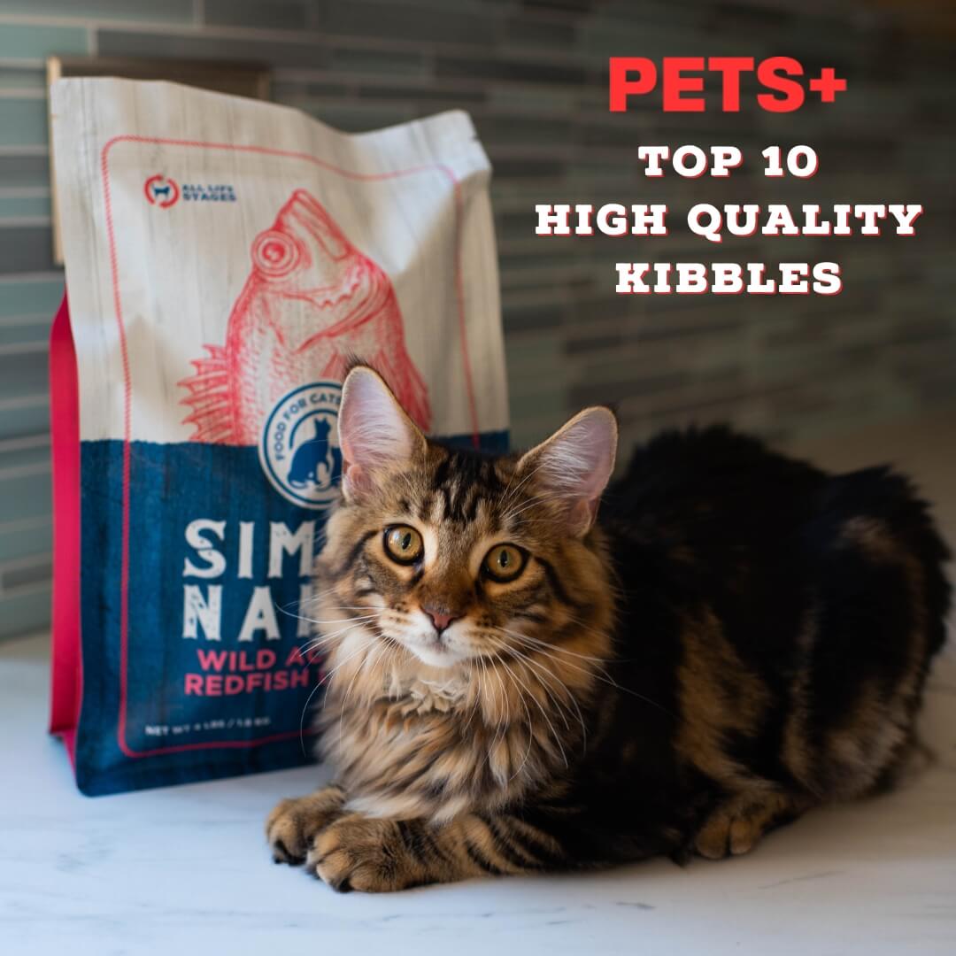 pets plus magazine top 10 high quality cat kibbles