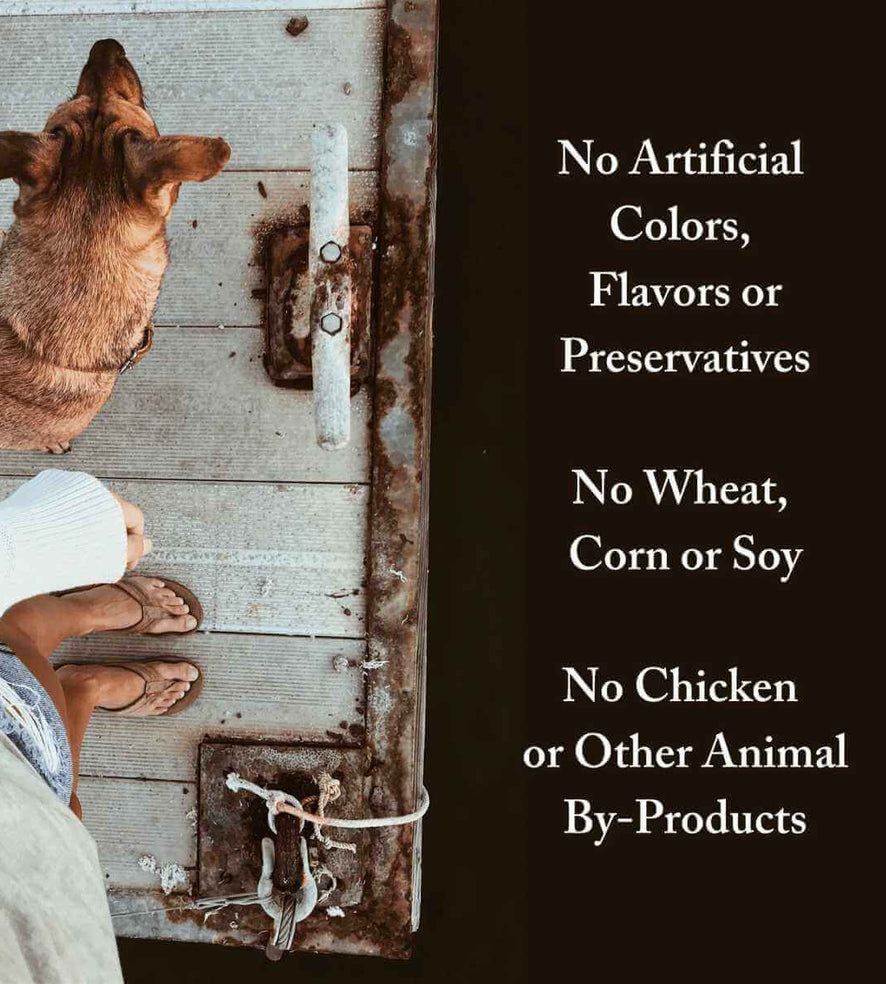 FishBased Dry Dog Food Simply Naked Pet Food