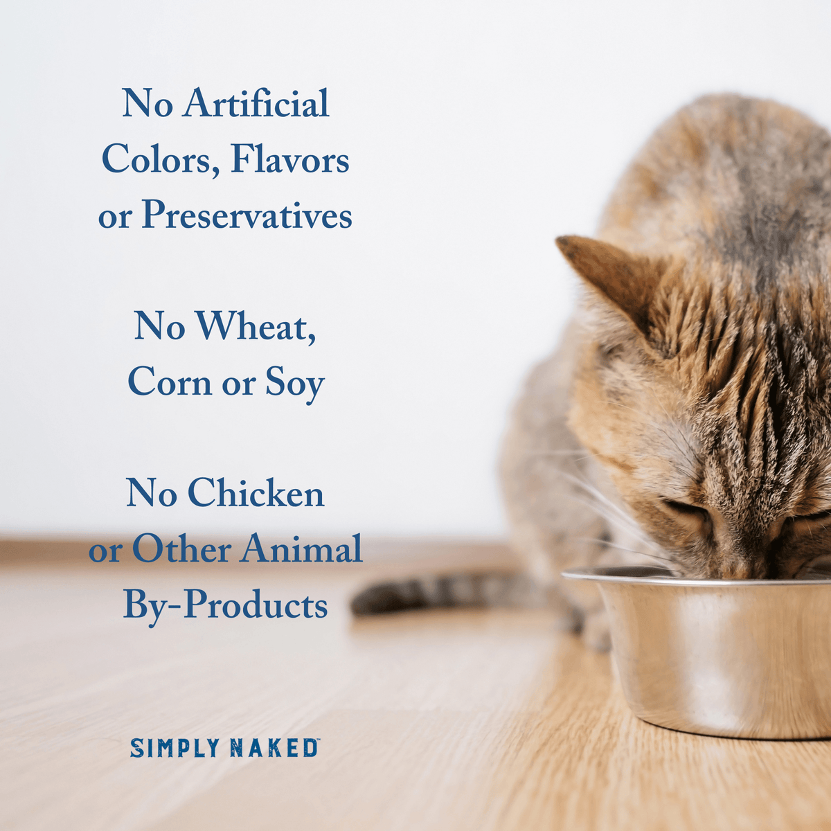 Wild Haddock & Cod Dinner for Cats Simply Naked Dry Cat Food Simply