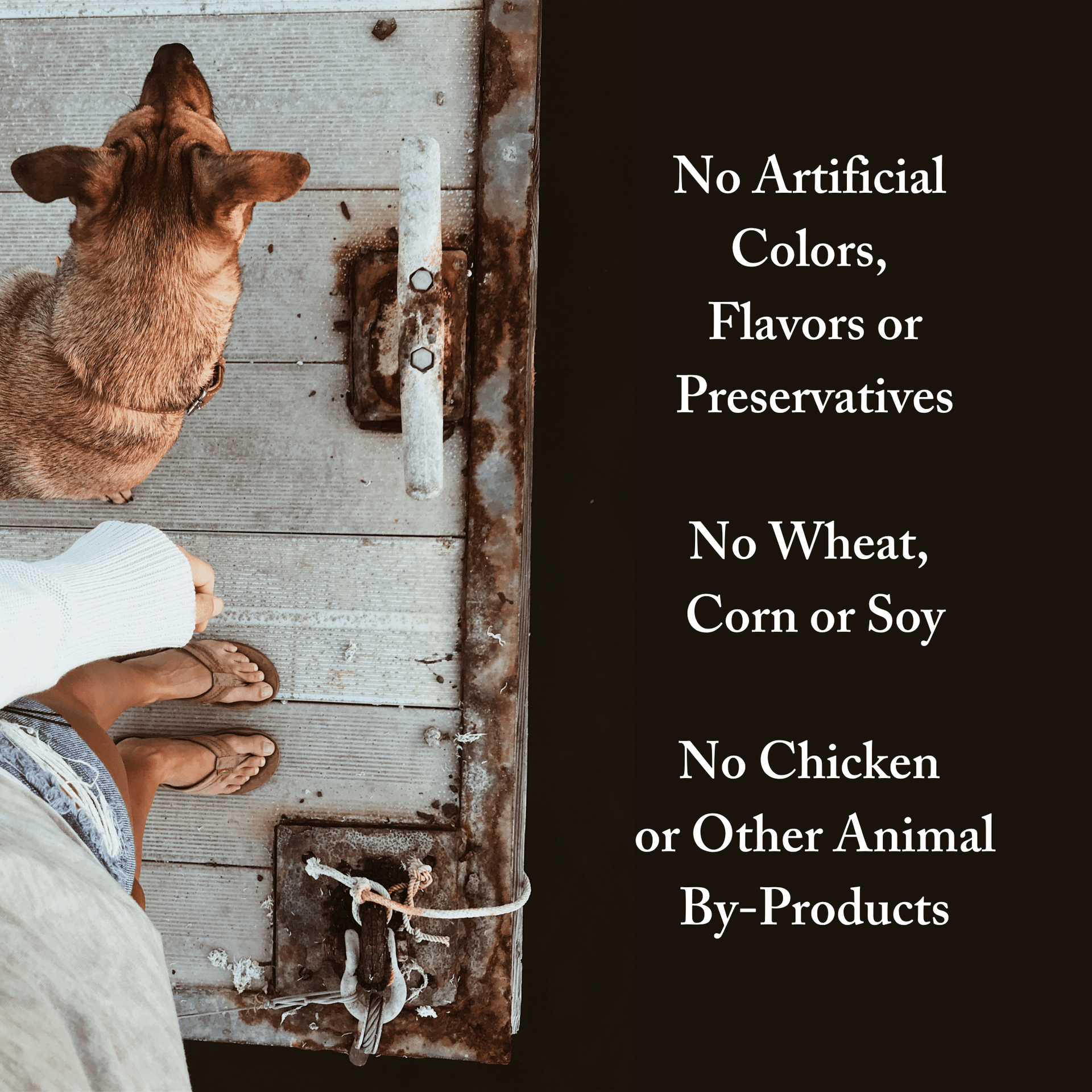 Fish Based Dog Food USA Made Simply Naked Pet Food